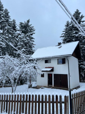 Romantična vikendica Pale